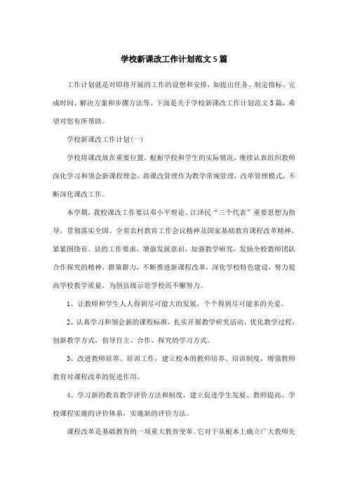 学校新课改工作计划范文5篇