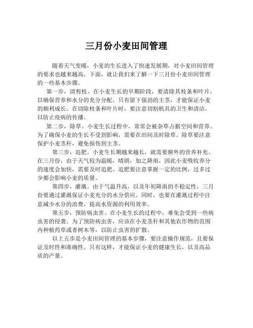 三月份小麦田间管理
