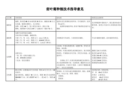 甜叶菊种植技术指导意见