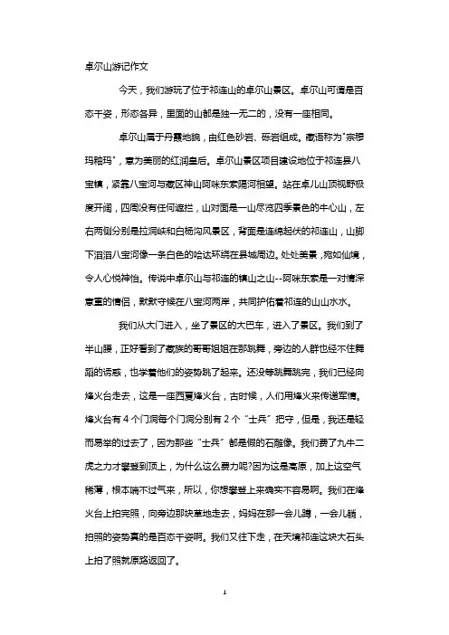 卓尔山游记作文_爬卓尔山的作文