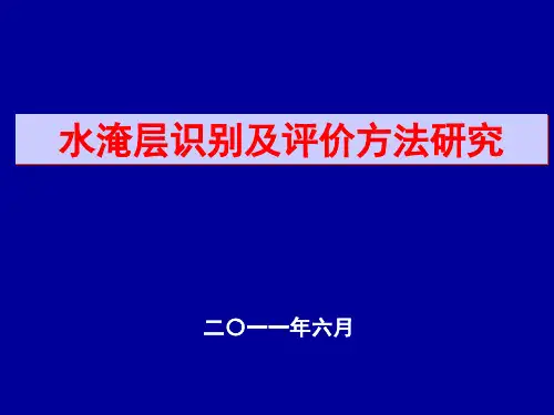 水淹层识别及评价方法研究2011.06