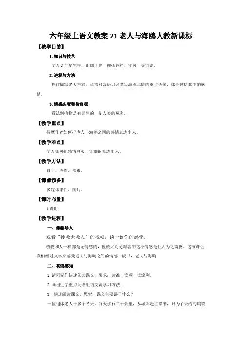 六年级上语文教案21老人与海鸥人教新课标