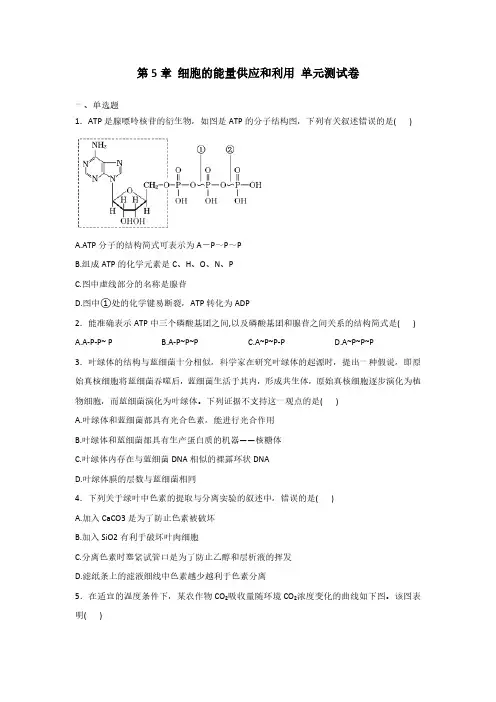  细胞的能量供应和利用—2024-2025学年高一生物人教版(2019)必修一单元测试卷(含解析)