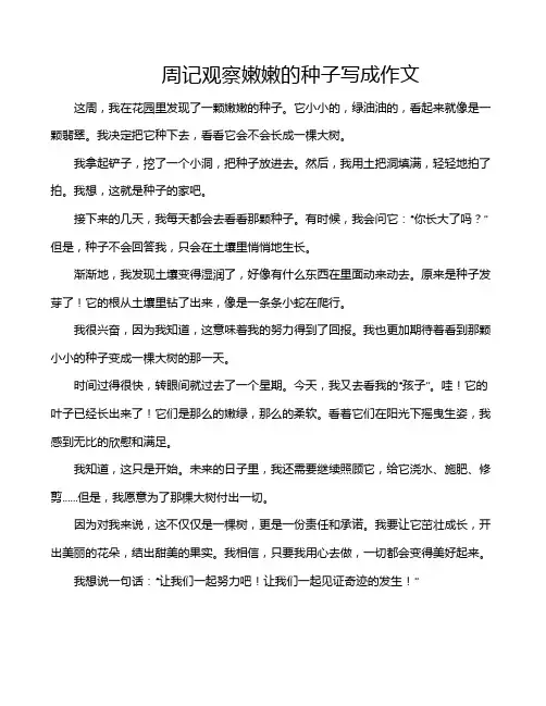 周记观察嫩嫩的种子写成作文