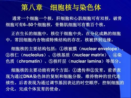 细胞核和染色体