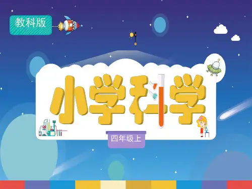 教科版小学四年级上册科学 《食物中的营养》