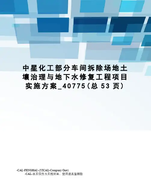 中星化工部分车间拆除场地土壤治理与地下水修复工程项目实施方案
