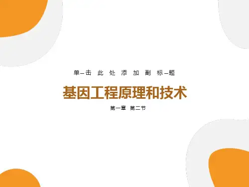 基因工程的原理和技术