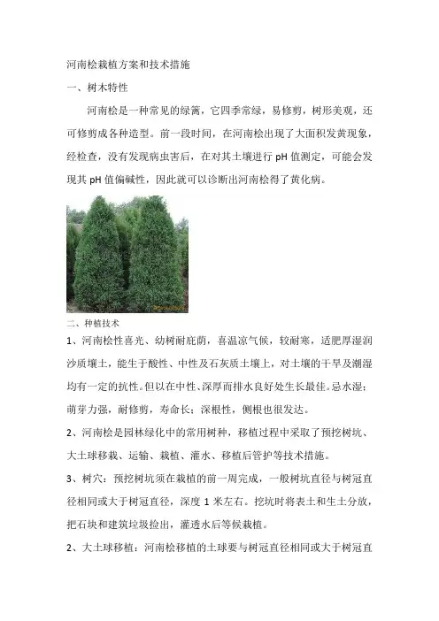 河南桧种植技术方案养护方案病虫害方案