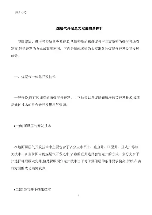 【推荐下载】煤层气开发及其发展前景探析