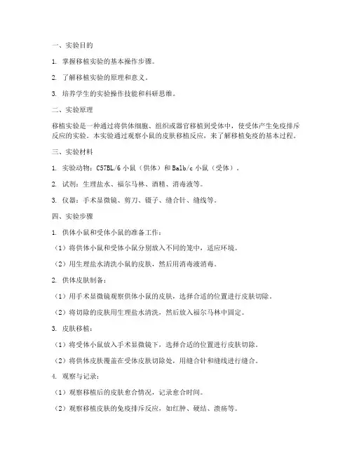 移植实验报告