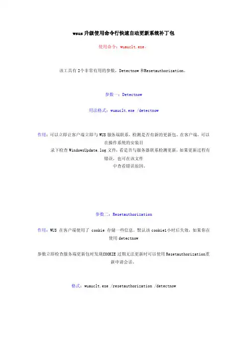 wsus升级使用命令行快速自动更新系统补丁包