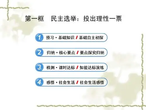 人教版高中政治必修二：1.2.1《民主选举-投出理性一票》课件