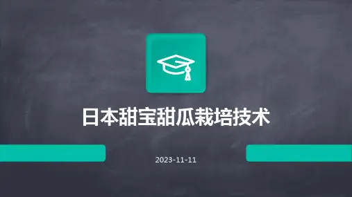 日本甜宝甜瓜栽培技术