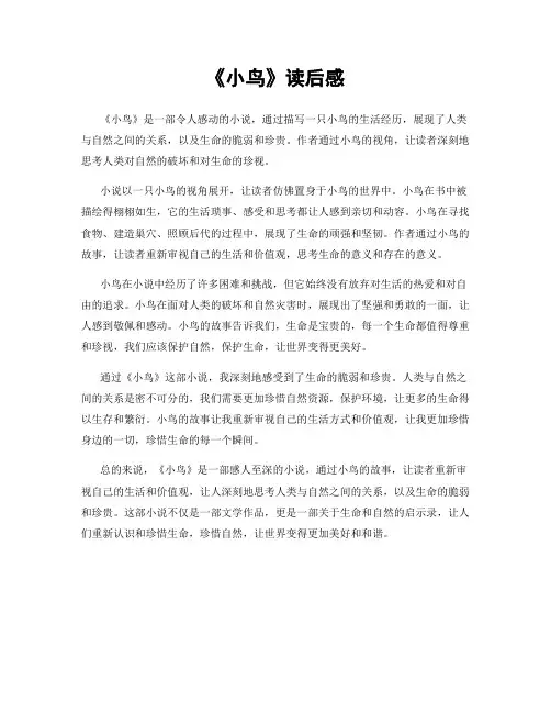 《小鸟》读后感