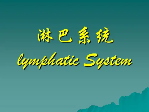 淋巴系统 PPT