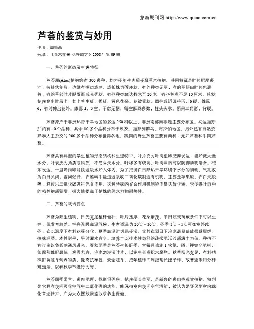 芦荟的鉴赏与妙用