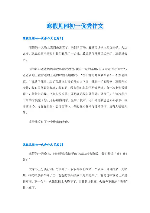 寒假见闻初一优秀作文