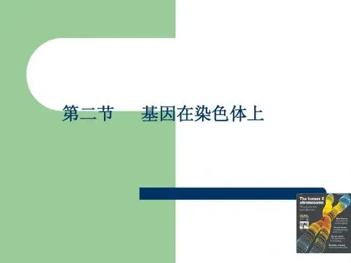 人教版教学课件宿迁市优质课比赛课件二(基因在染色体上)