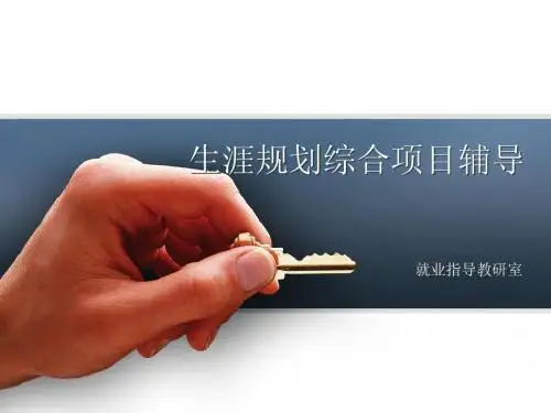 5生涯规划综合项目