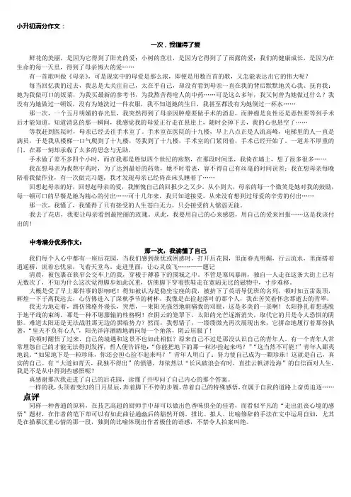 小升初中考满分作文-那一次-我