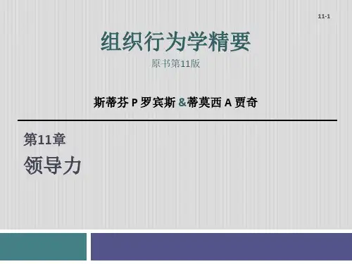 组织行为学领导力