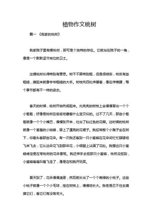 植物作文桃树