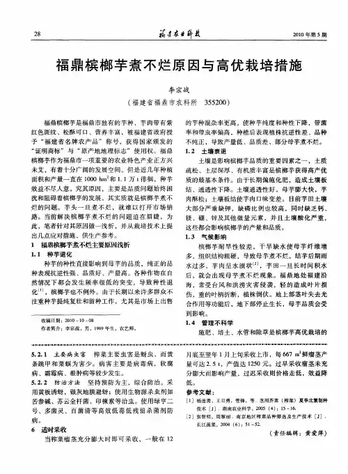 福鼎槟榔芋煮不烂原因与高优栽培措施