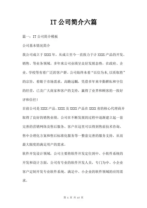 IT公司简介六篇