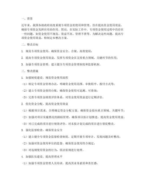 专项资金_整改方案