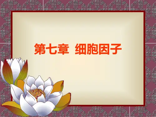 免疫学之细胞因子PPT课件