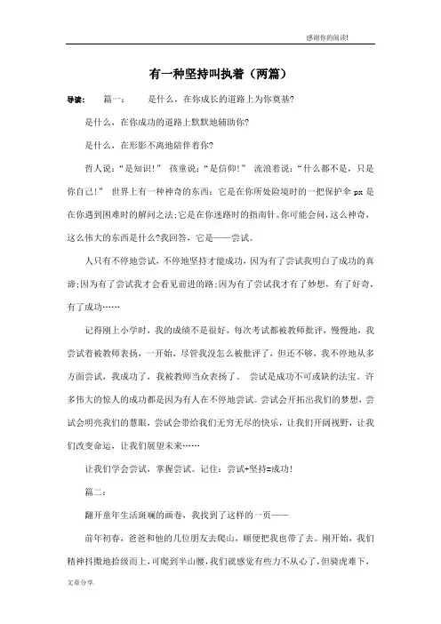 有一种坚持叫执着(两篇)