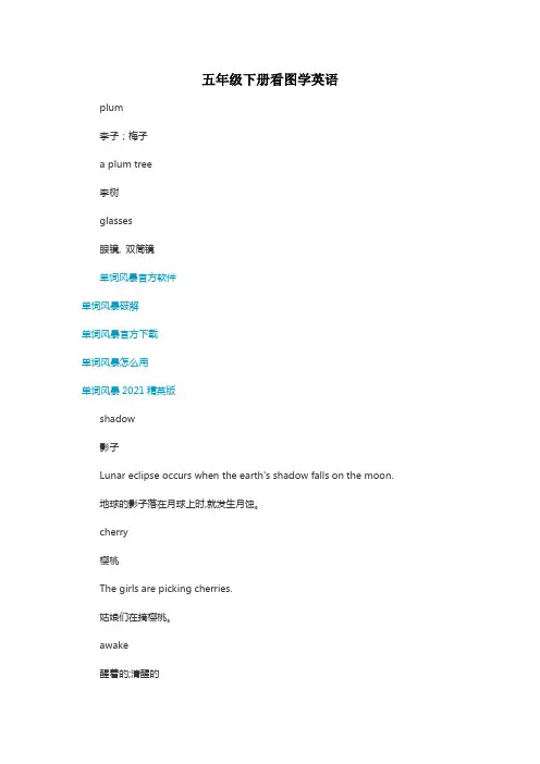 牛津小学英语(五年级下)看图学单词