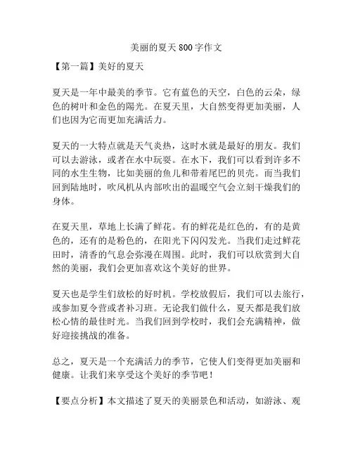 美丽的夏天800字作文