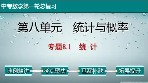 最新中考数学第一轮总复习课件专题8