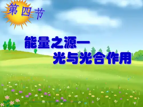 光合作用——光合色素
