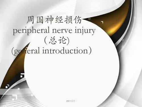 周围神经损伤  ppt课件