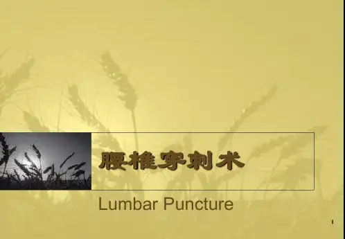腰椎穿刺术教学PPT课件