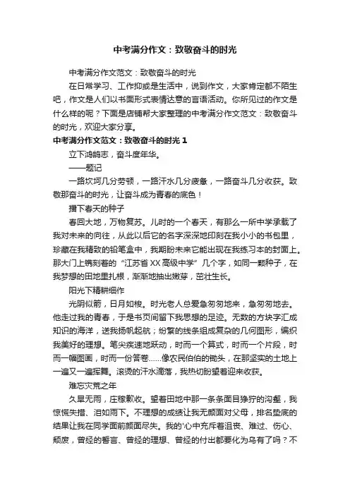 中考满分作文：致敬奋斗的时光