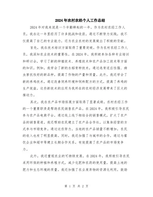2024年农村农经个人工作总结