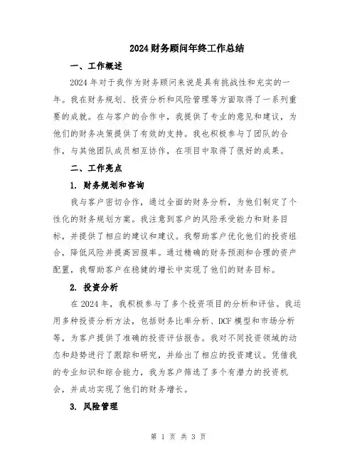 2024财务顾问年终工作总结