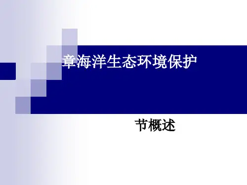 海洋生态环境保护概述(PPT 41张)
