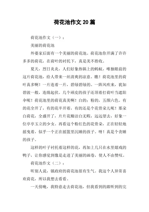 荷花池作文20篇