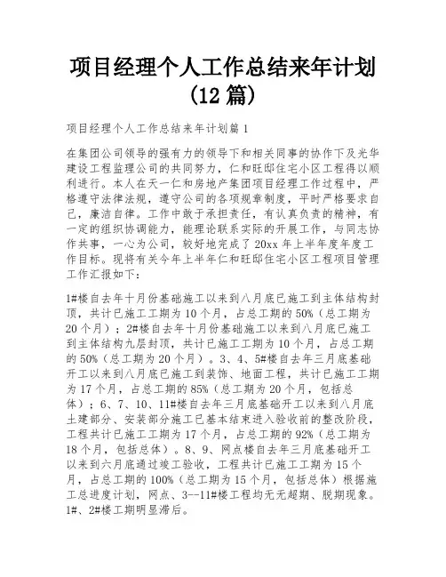 项目经理个人工作总结来年计划(12篇)