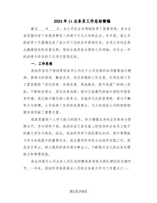 2024年it业务员工作总结精编（3篇）