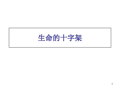 生命的十字架资料PPT课件