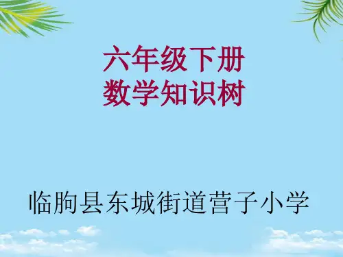 【精】六年级下册数学知识树