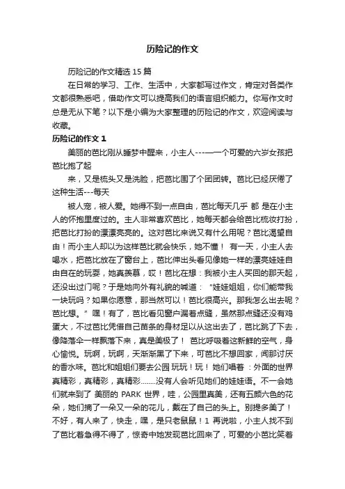 历险记的作文