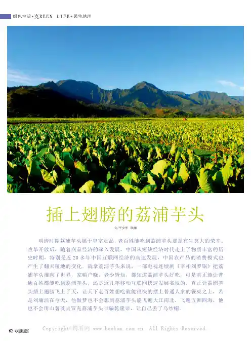 插上翅膀的荔浦芋头