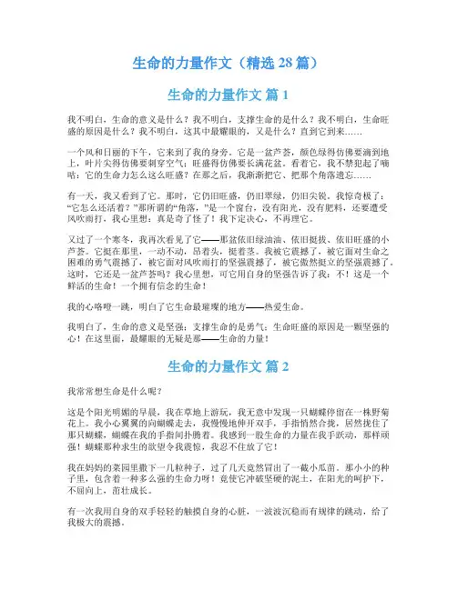 生命的力量作文(精选28篇)